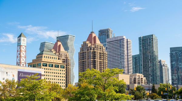 Mississauga Area