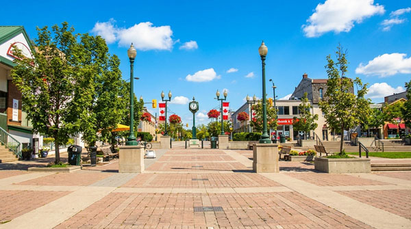 Oakville Area